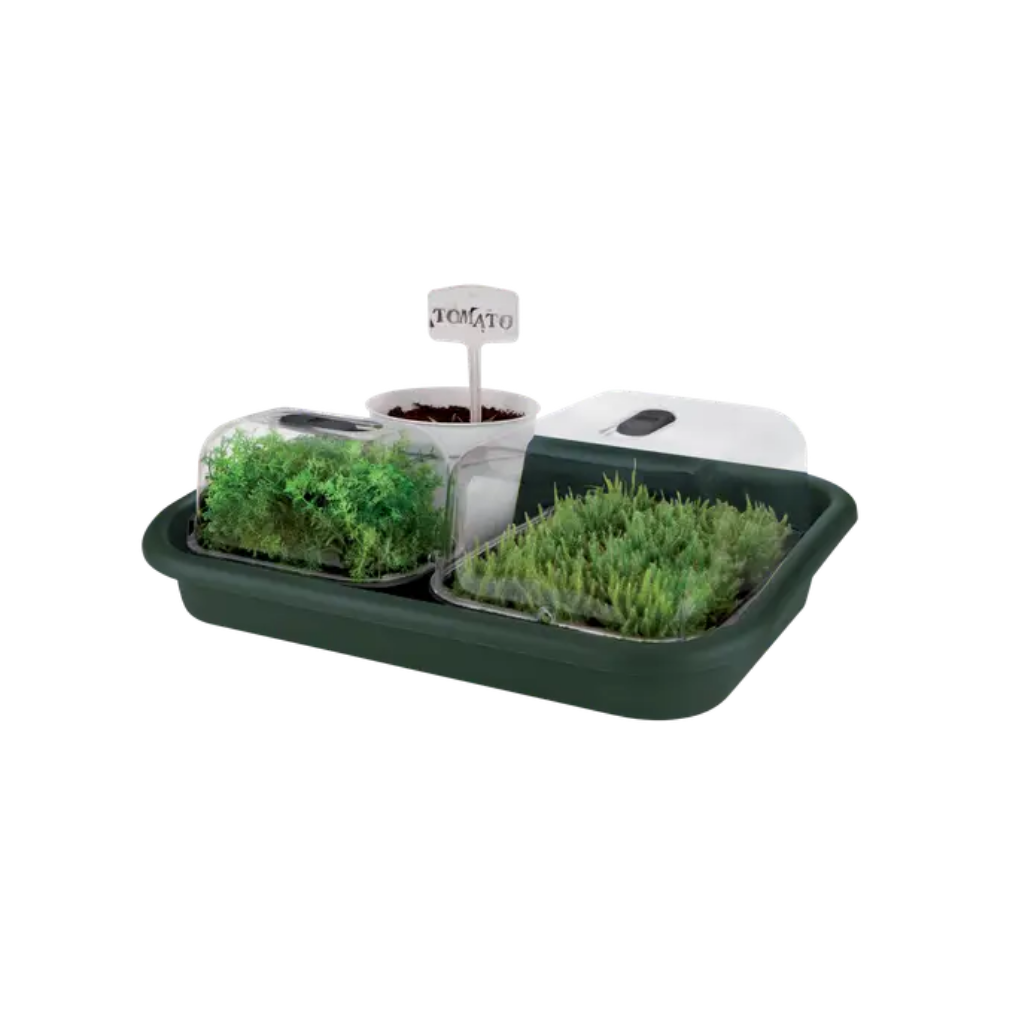 Tuintray