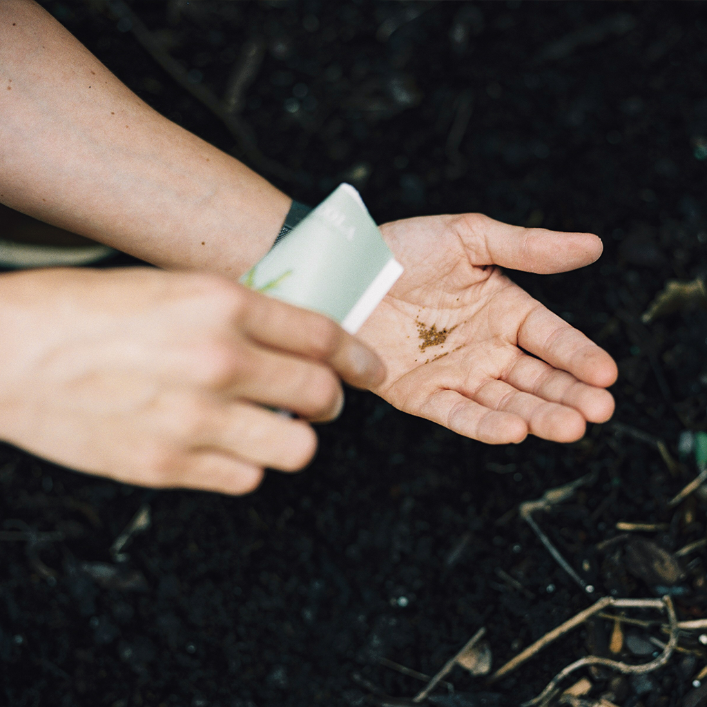 Moestuin zaden eetbare bloemen – zadenpakket