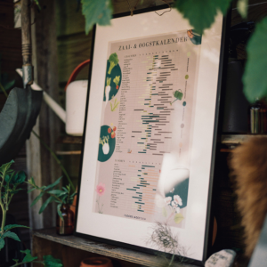 Moestuin zaaikalender