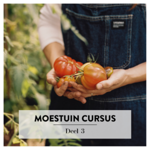Moestuin cursus deel 3 'Zo onderhoud je de moestuin'