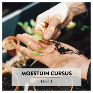 Moestuin cursus deel 1 'Zo start je een eigen moestuin'