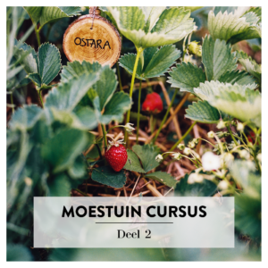 Moestuin cursus deel 2 'Zo leg je de moestuin aan'