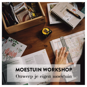 Moestuin workshop 'Ontwerp je eigen moestuin'