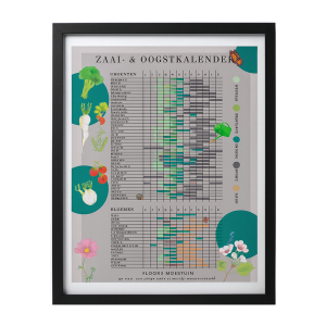 Moestuin zaaikalender