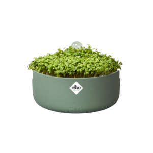 Magic Microgreens