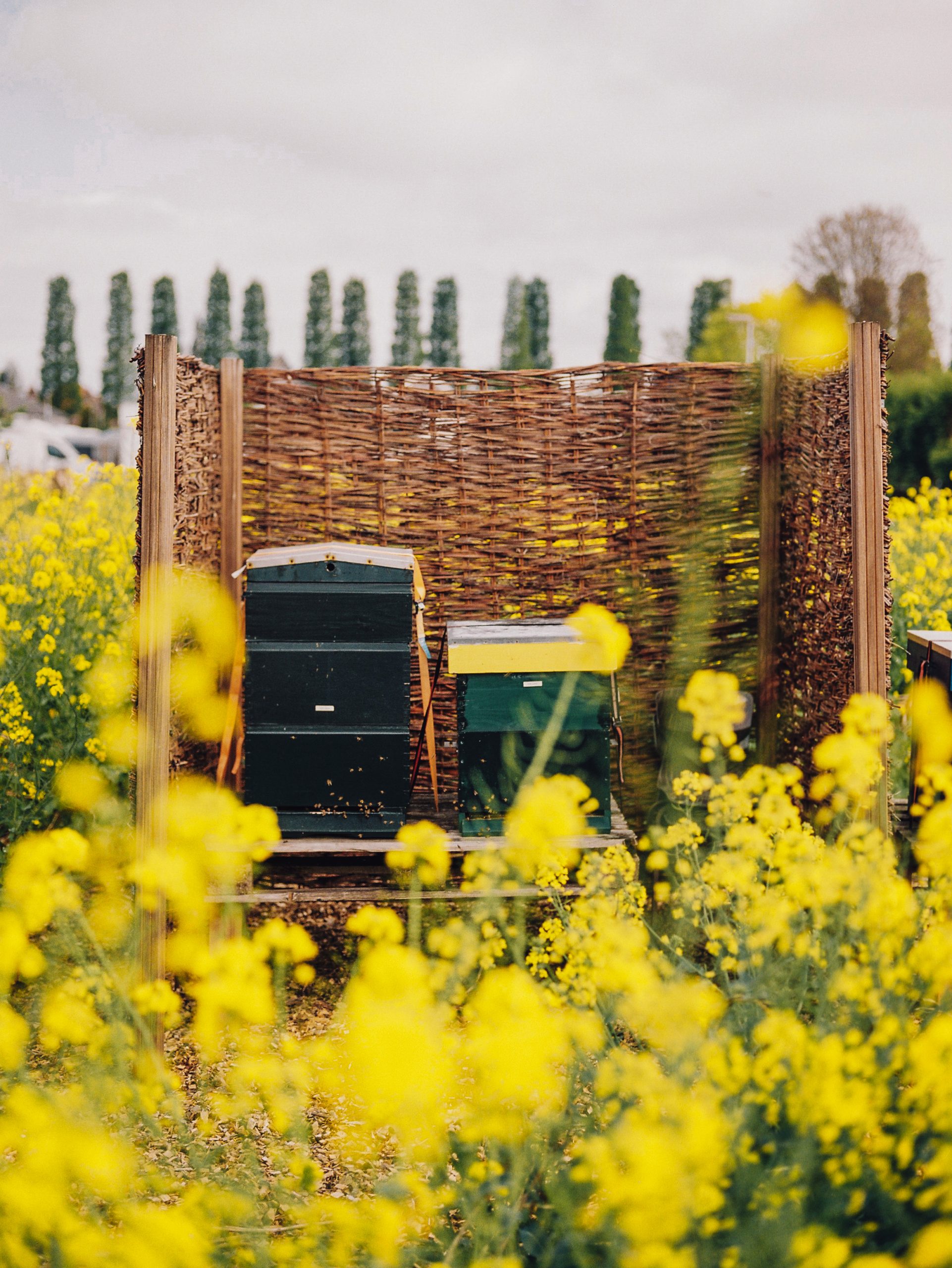 Floors Moestuin Rondleiding + Lezing