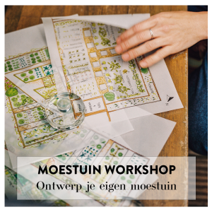 Moestuin workshop 'Ontwerp je eigen moestuin'