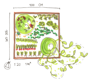 Moestuinplan 1 m2 - Floors Moestuin